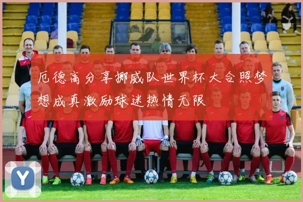 厄德高分享挪威队世界杯大合照梦想成真激励球迷热情无限