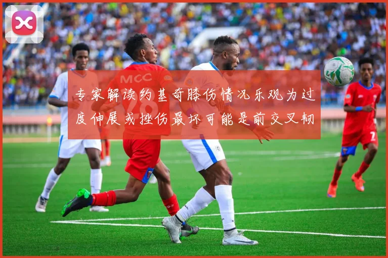 专家解读约基奇膝伤情况乐观为过度伸展或挫伤最坏可能是前交叉韧带撕裂
