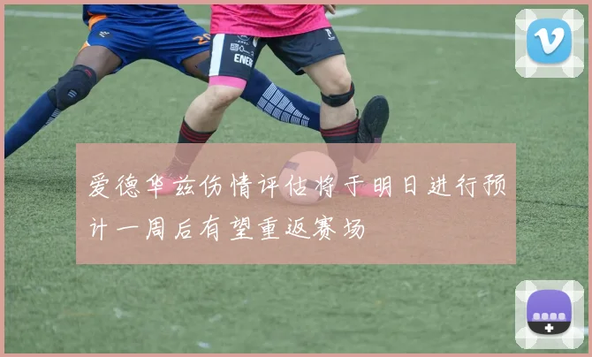 爱德华兹伤情评估将于明日进行预计一周后有望重返赛场