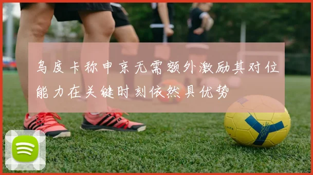 乌度卡称申京无需额外激励其对位能力在关键时刻依然具优势