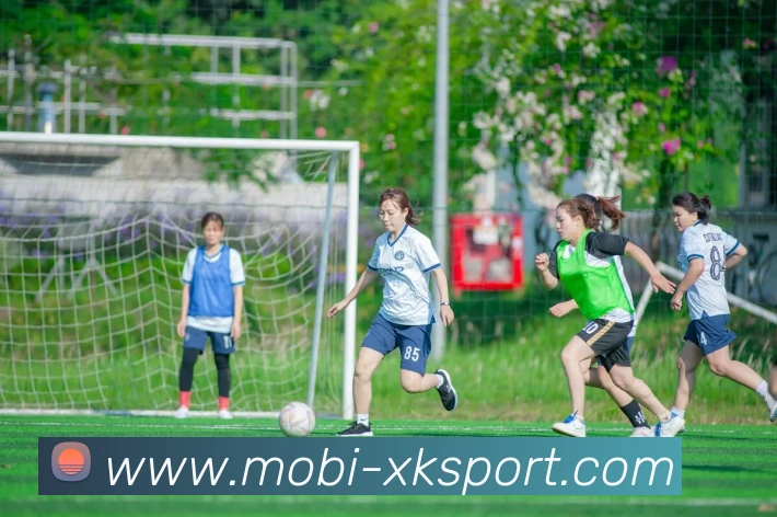 星空体育APP 高清赛事图